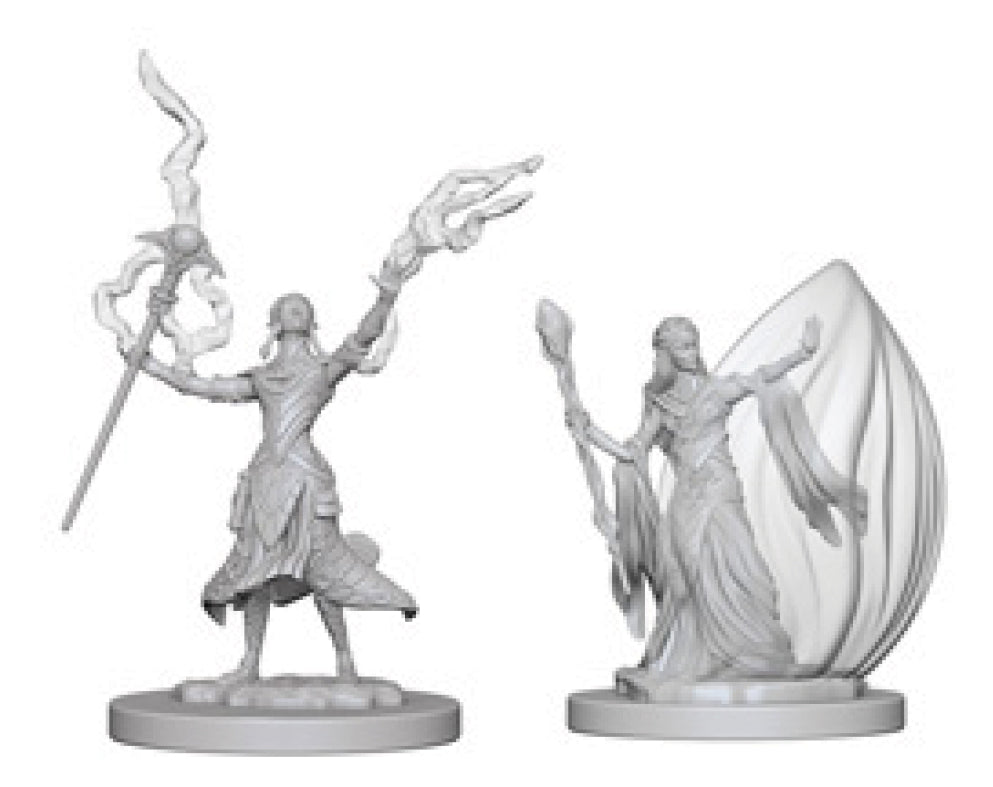 Elf Wizard Female
