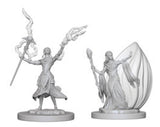 Female Elf Wizard