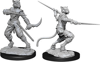 Tabaxi Rogue Male