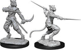 Male Tabaxi Rogue