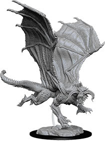 Young Black Dragon