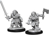 Dwarf Female Barbarian