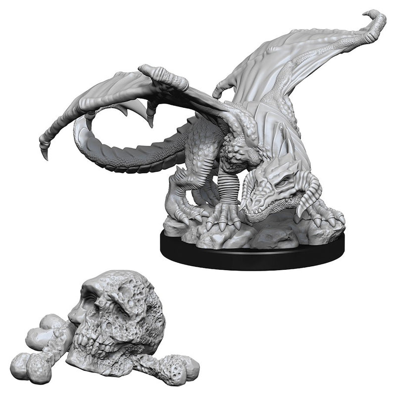 Black Dragon Wyrmling