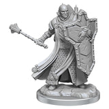 Frameworks: Human Cleric Male