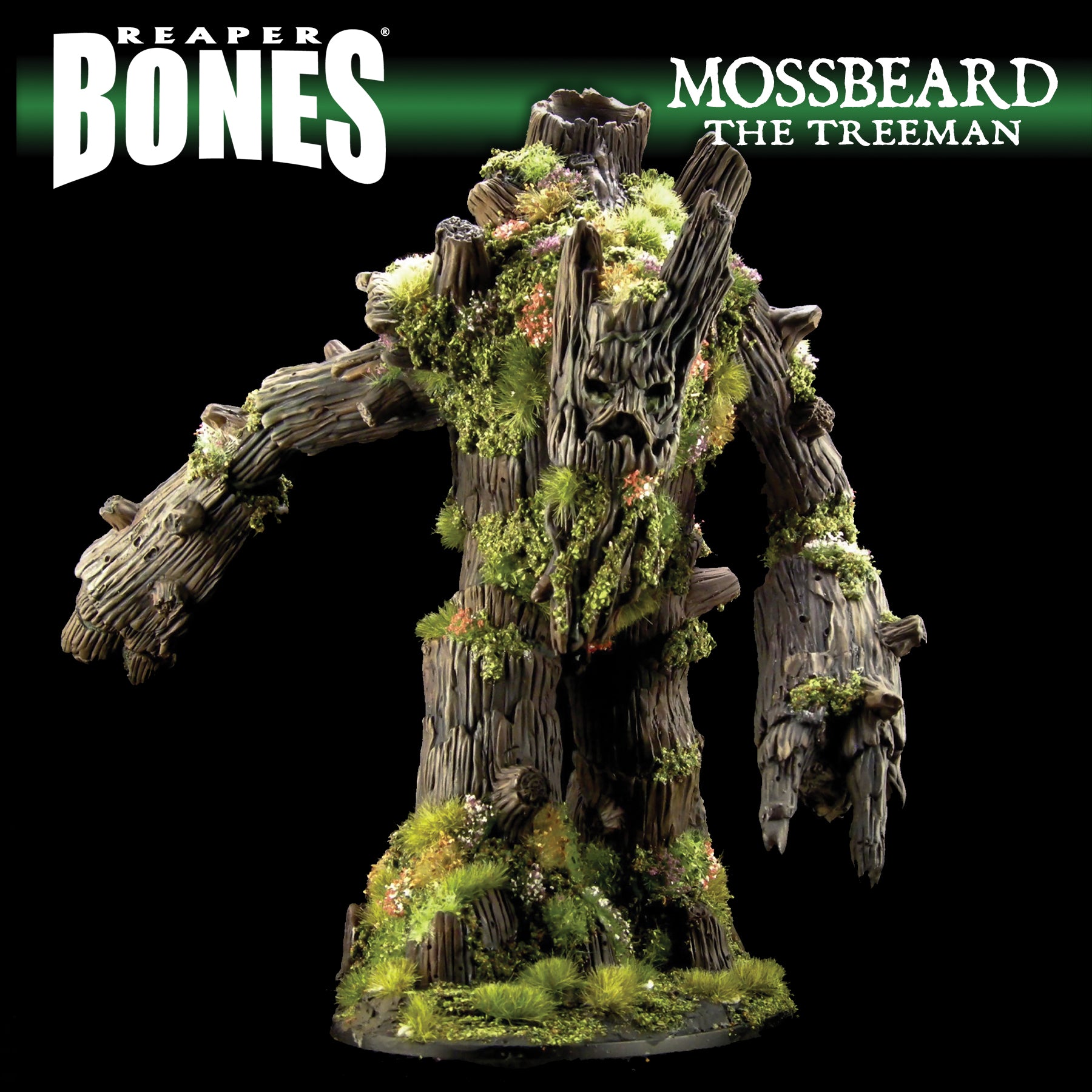 Mossbeard Deluxe Boxed Set