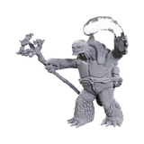 Tortle Druid & Wild Shape Giant Lizard [M]