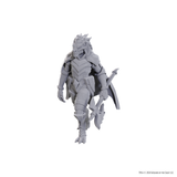 Dragonborn of Tiamat