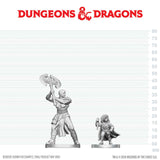 Goliath Barbarian & Halfling Rogue
