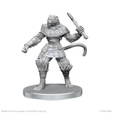 Elf Hunter & Catfolk Bandit