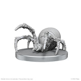 Cave Scorpion & Hunting Spider