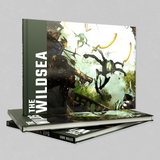 The Wildsea: Core Book