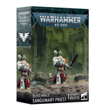 Blood Angels: Sanguinary Priest REL 10/19