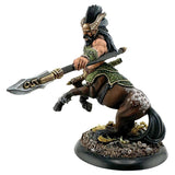 Centaur Lord