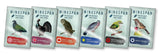 Wingspan: Fan Design Pack