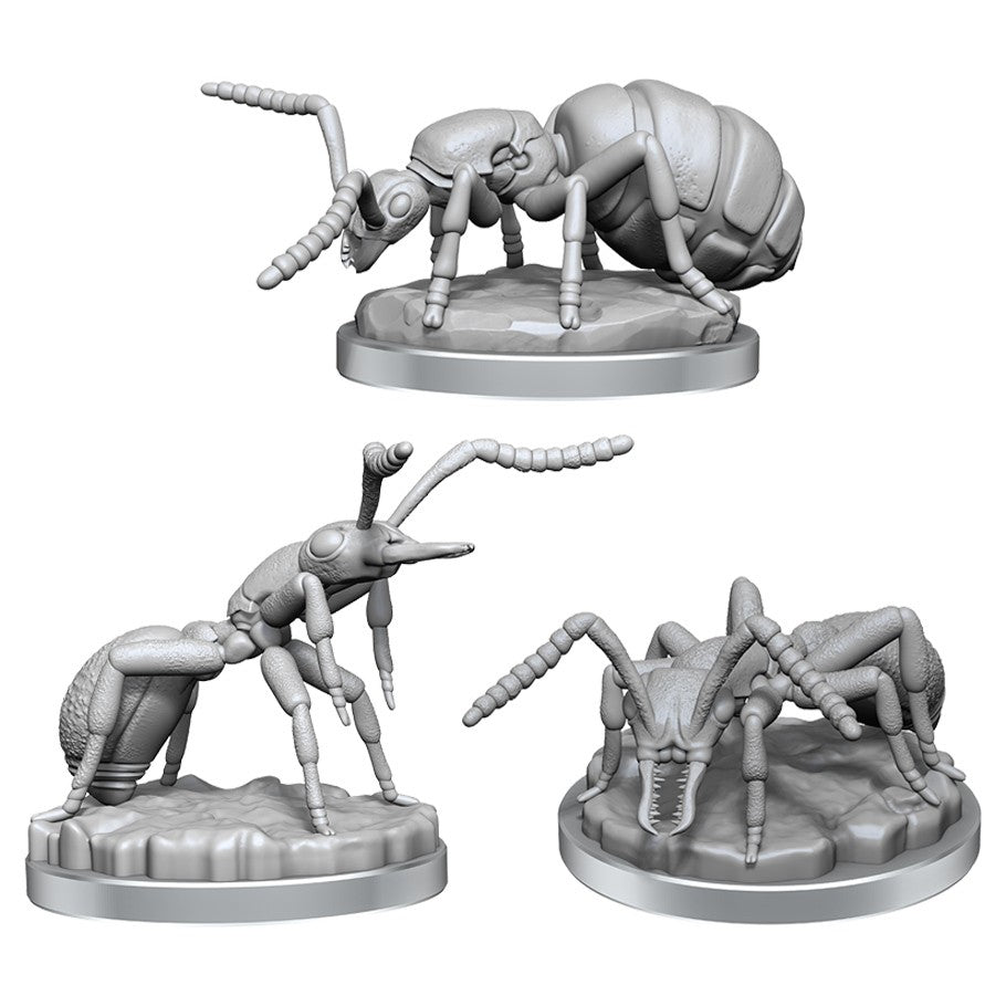 Giant Ants