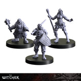 Picture of 3 Witcher miniatures