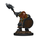 Premium Male Dwarf Fighter