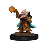 Premium Gnome Wizard Male