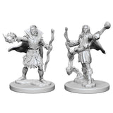 Elf Male Sorcerer