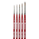 Pro Sable 5 Brush Set