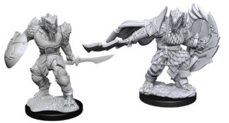 Dragonborn Fighter Male