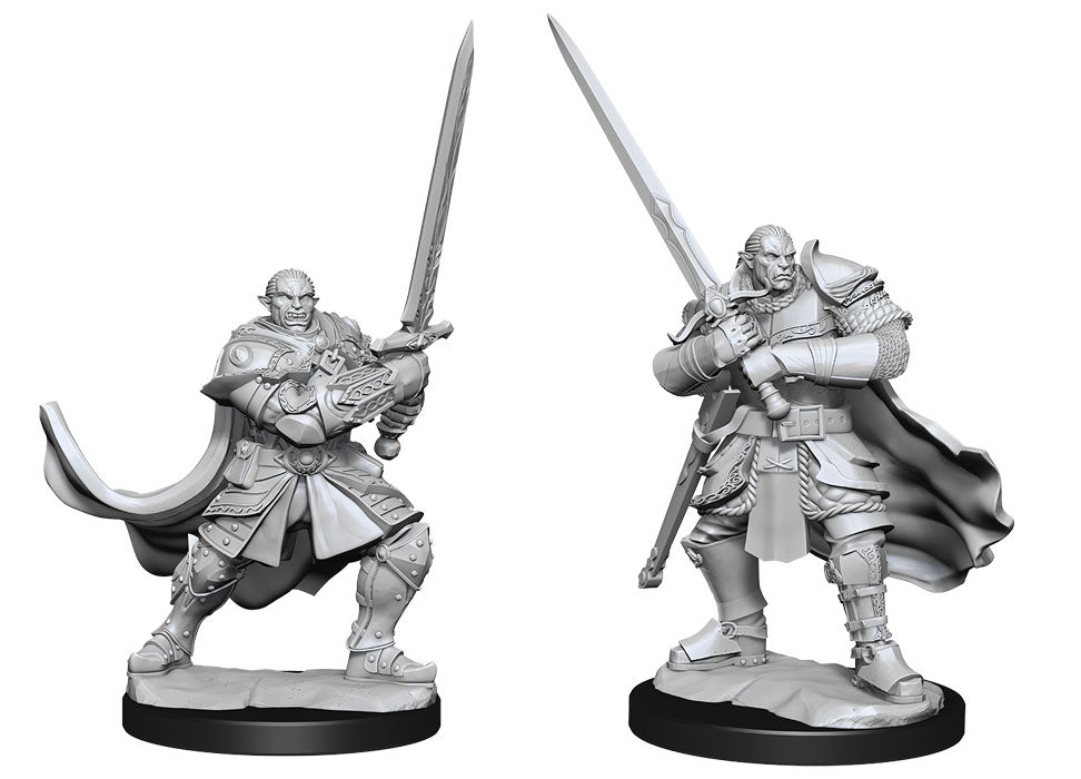 Half-Orc Paladin Male