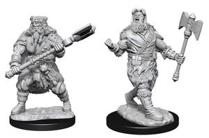 Human Barbarian Male