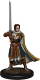 Premium Human Cleric Male