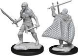 Elf Fighter Male