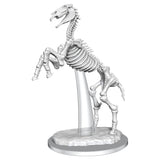 Skeletal Horse 